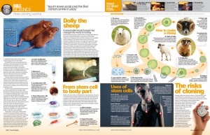 Cloning How It Works issue 13 in shops now