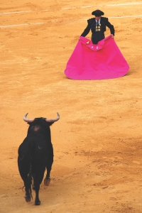 Credit Jesus Solana Are bulls enraged by the colour red?