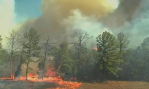 Wildfire