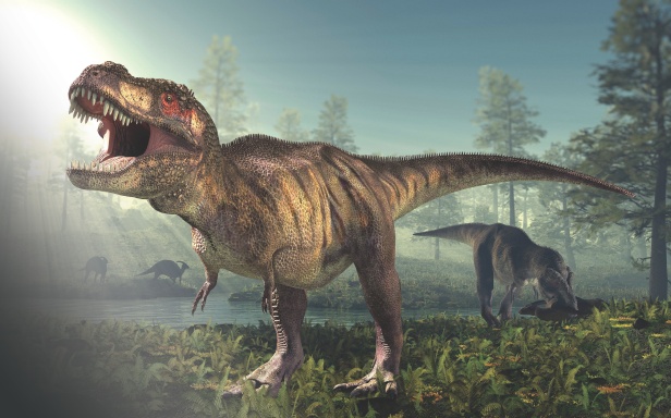 Tyrannosaurus rex | How It Works Magazine