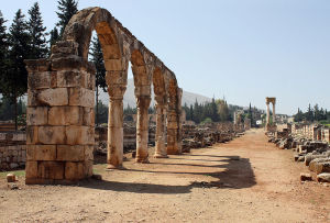 800px-Anjar_-_Cardo_vu_du_nord_2