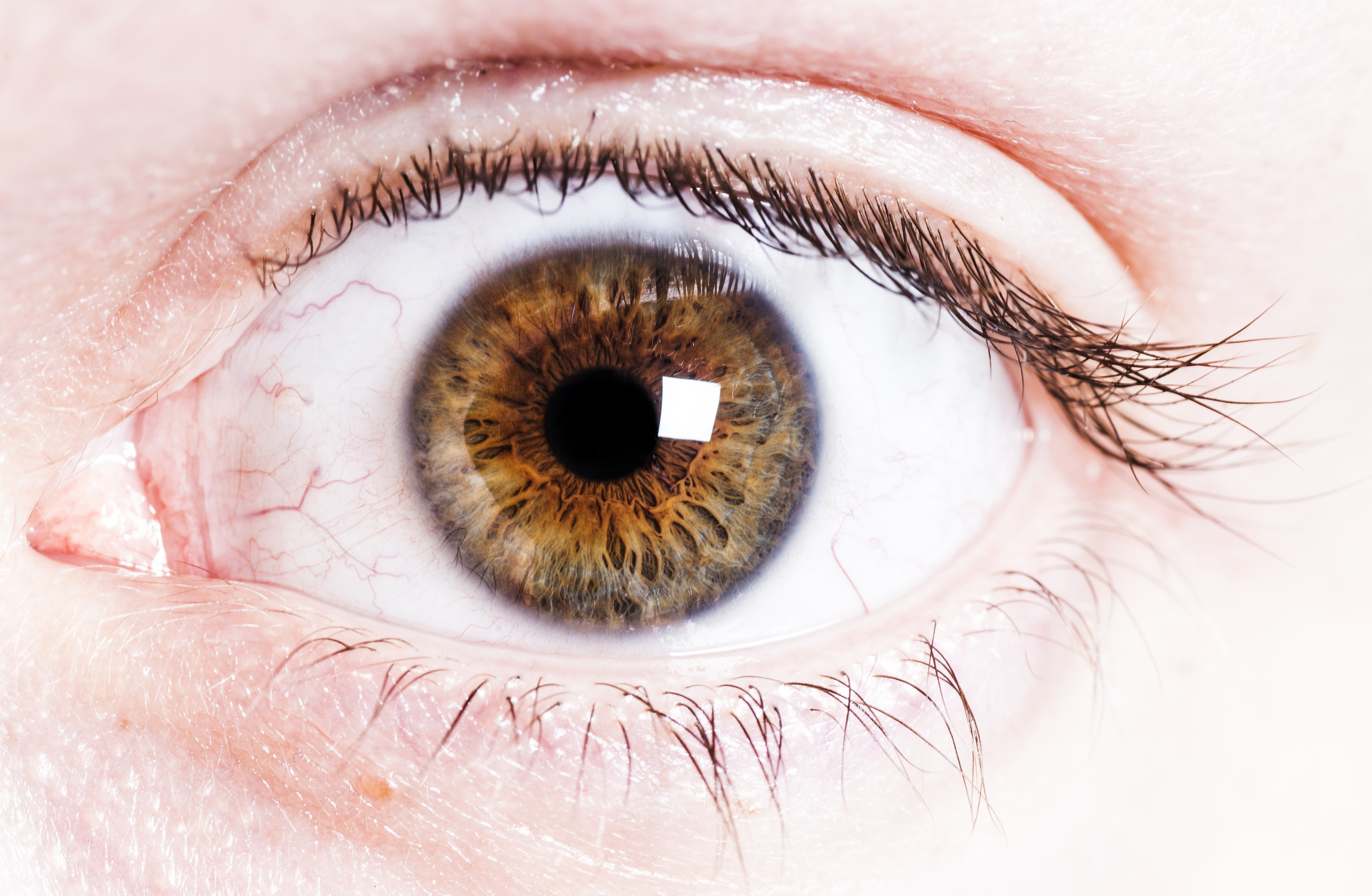 are the specks you see floating in the eye? How It Works Magazine