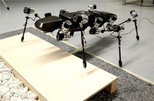 Hector the six-legged robot