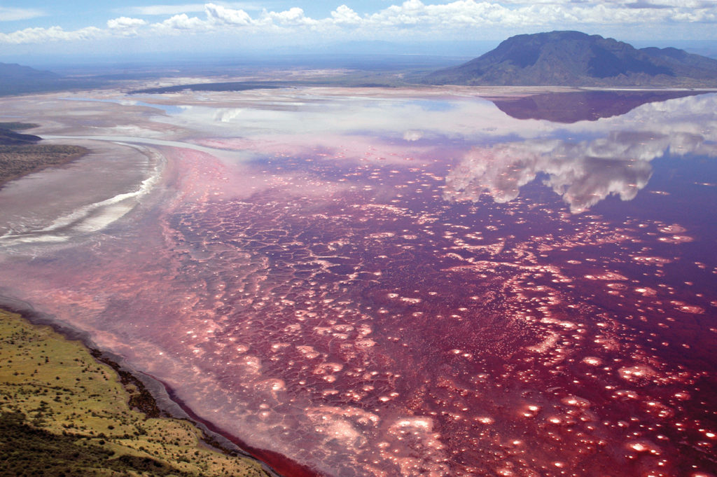 Lake Natron Tanzania’s bright pink salty soda lake How It Works Magazine