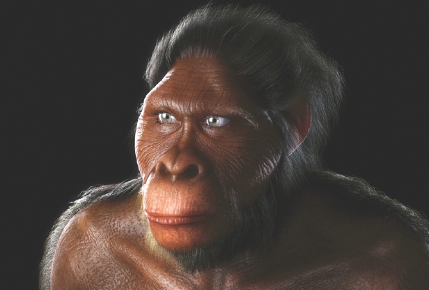 Fact Early Humans Date Back Up To 7 Million Years How It Works