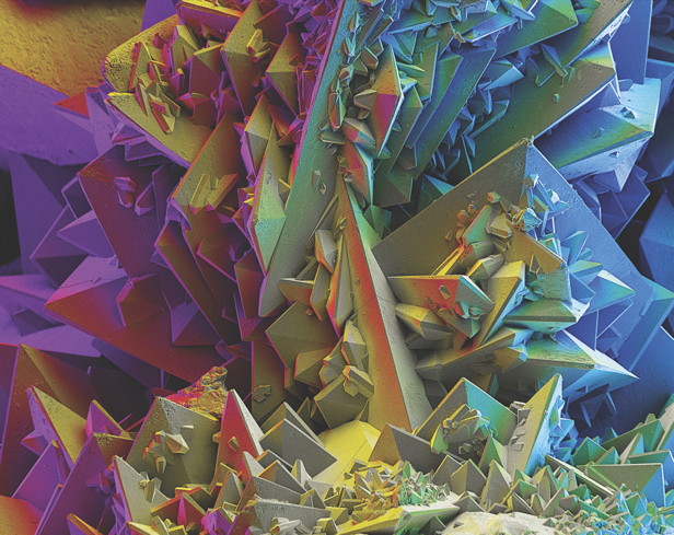 flase colour, SEM , microscope