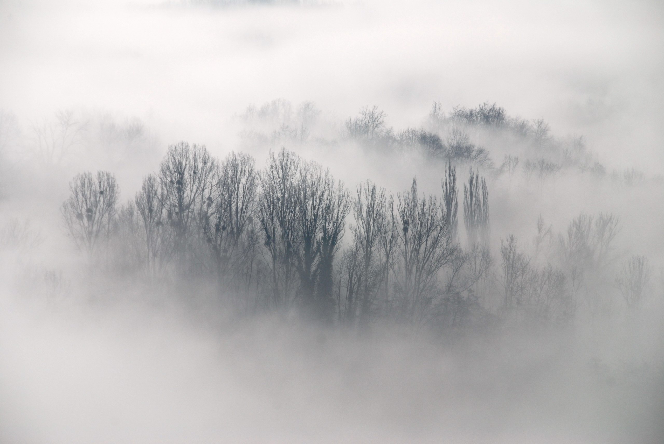 Image result for Fog Misting System istock