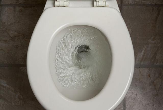 Image result for toilet