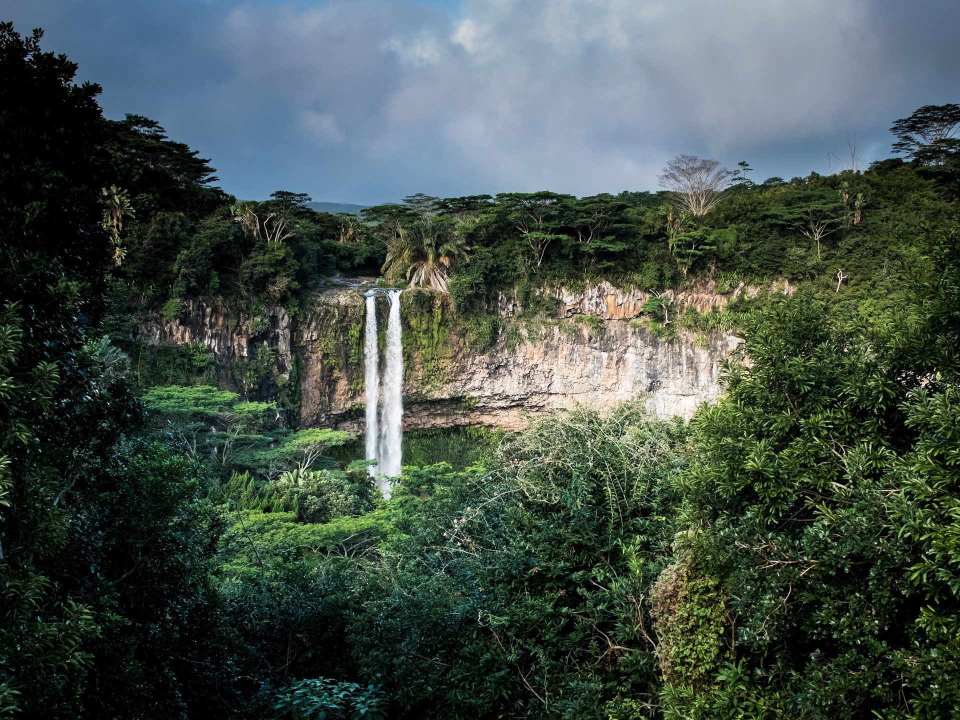 5 amazing facts about the world's rainforests How It Works