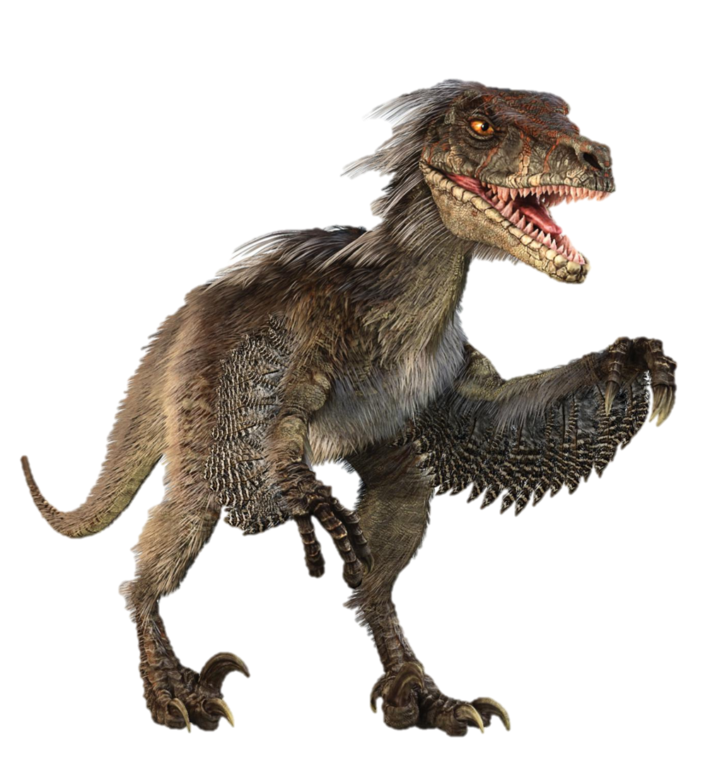 Learn About The Velociraptor One Of Jurassic Worlds Main Dinosaurs How It Works Magazine 