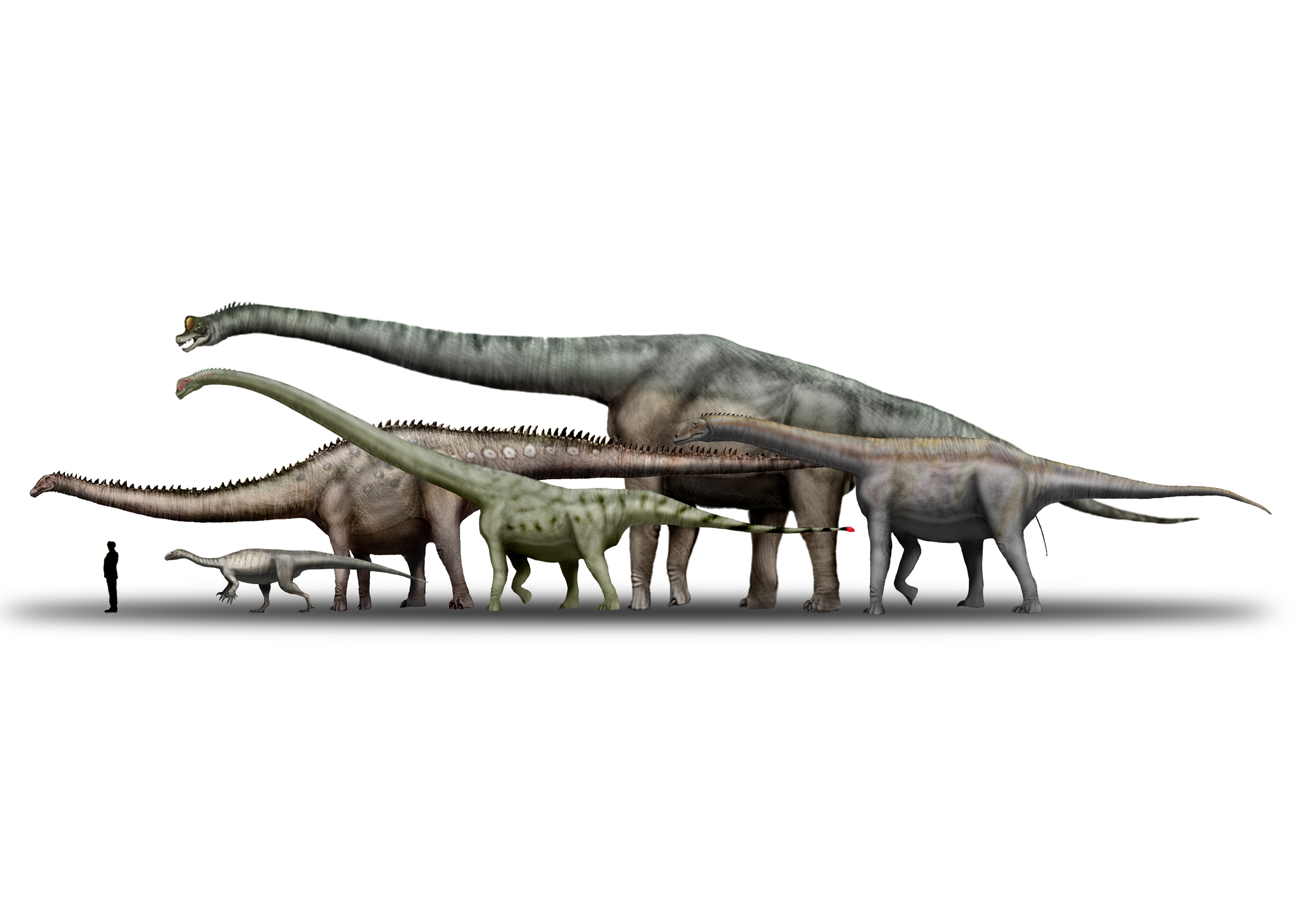 Prehistoric giants: The biggest dinosaurs to ever exist – How It Works Prehistoric giants: The biggest dinosaurs to ever exist – How It Works