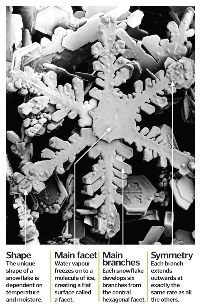 snowflake