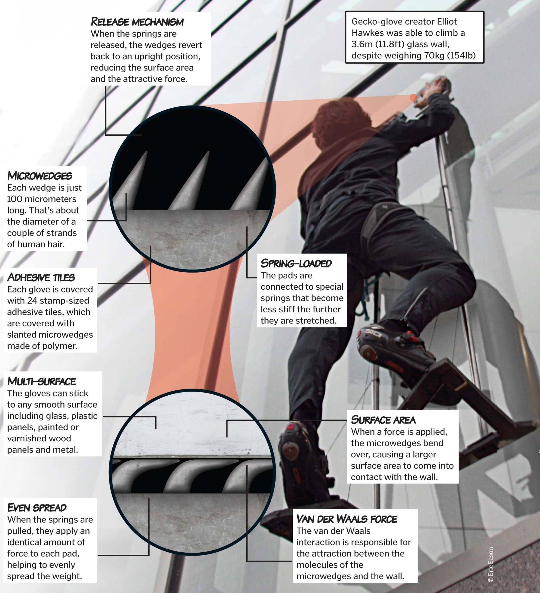 The geckoinspired gloves that let you climb walls like Spiderman How