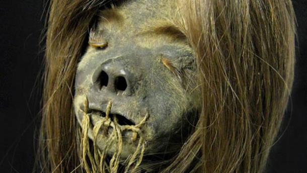 Shrunken heads: How Amazonian tribes shrunk their enemies' heads