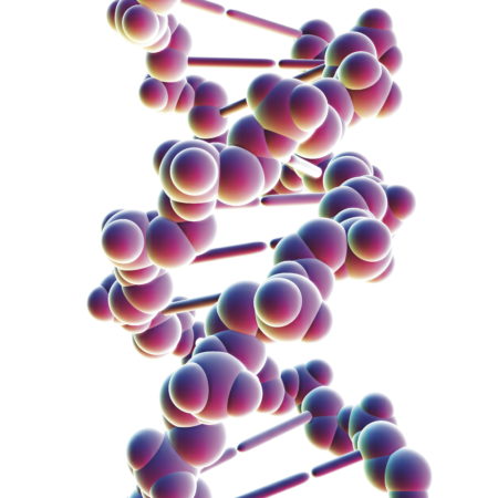 BX53CK DNA structure