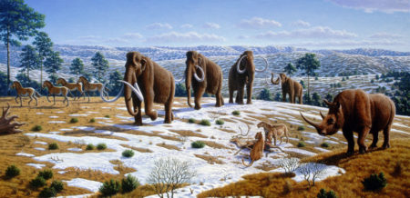 Pleistocene Park