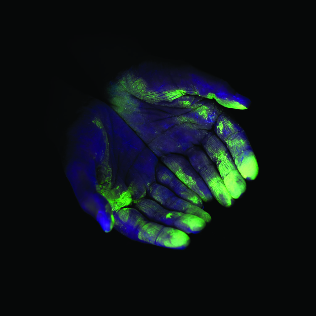 Germs On The Hands