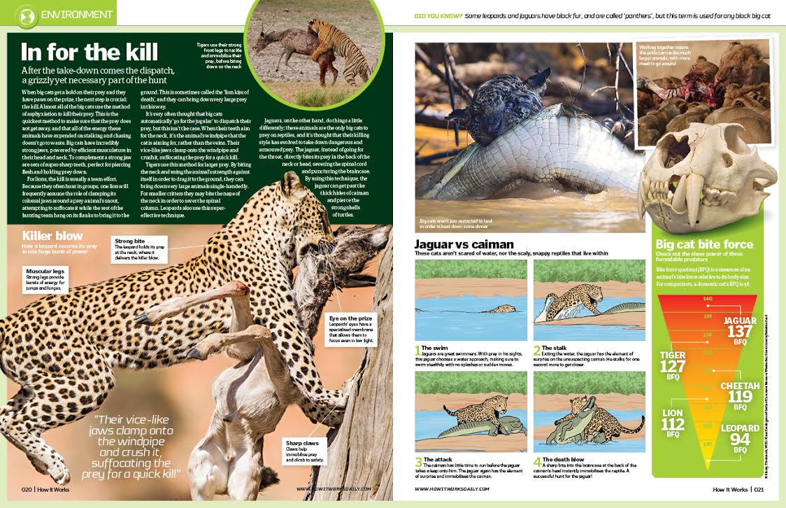 Experience a big cat attack in issue 92 of How It Works How It Works
