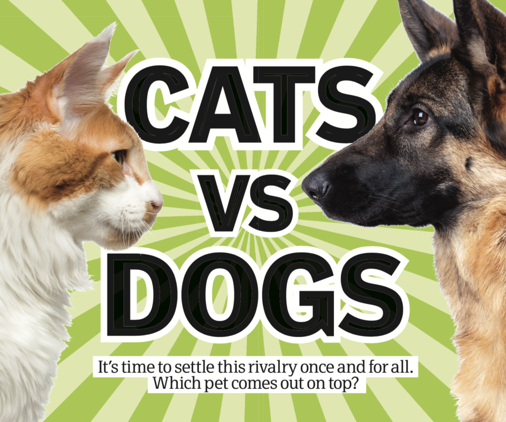 Cats vs Dogs which pet comes out on top? How It Works