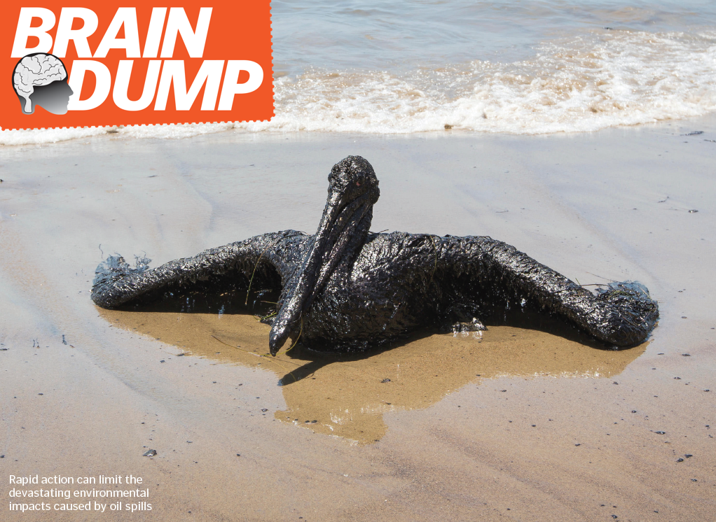 How are oil spills cleaned up? How It Works