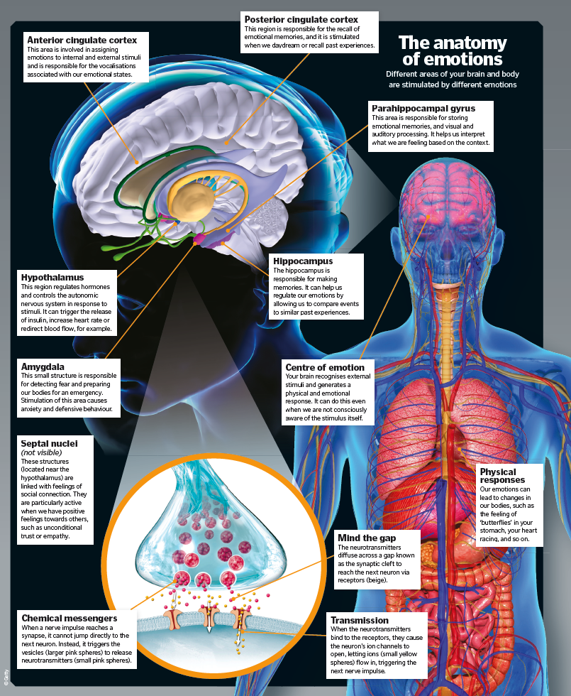 presentation of research feelings