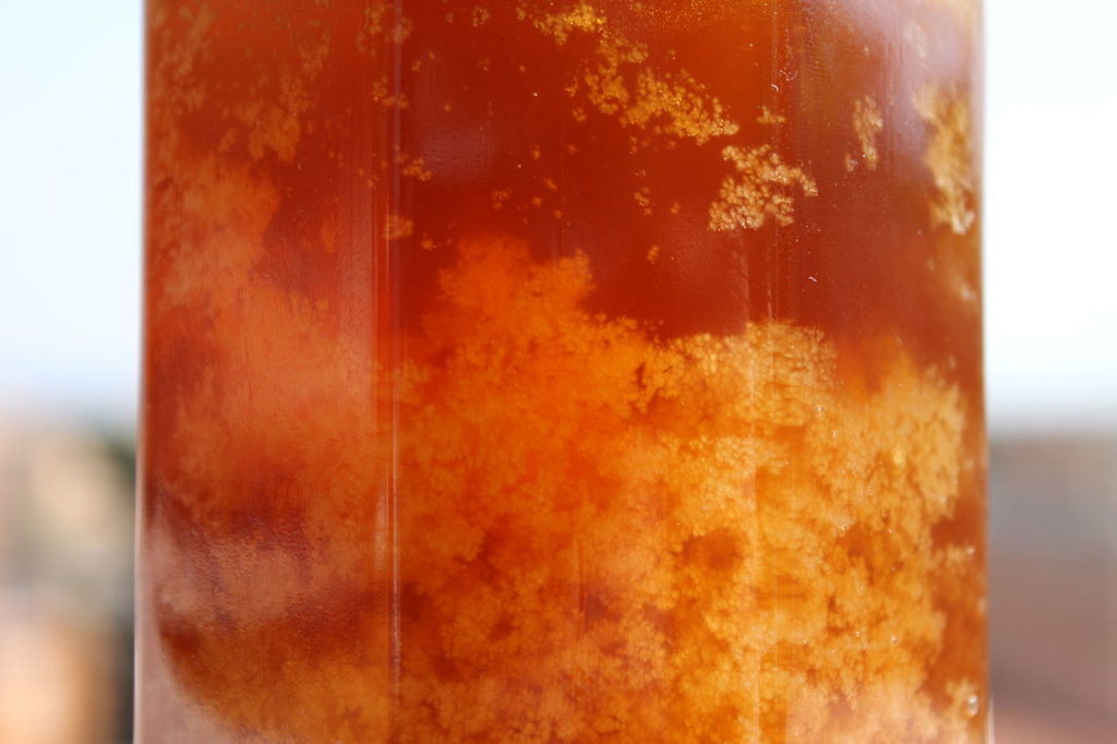 Making honey is a buzzing business How It Works