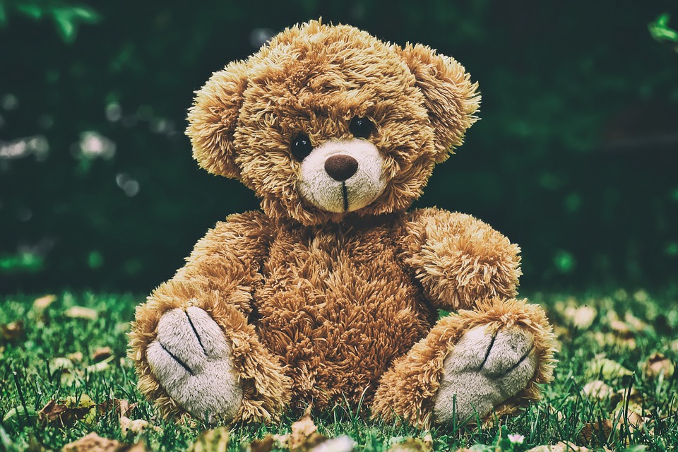 How Did the Teddy Bear Get Its Name?
