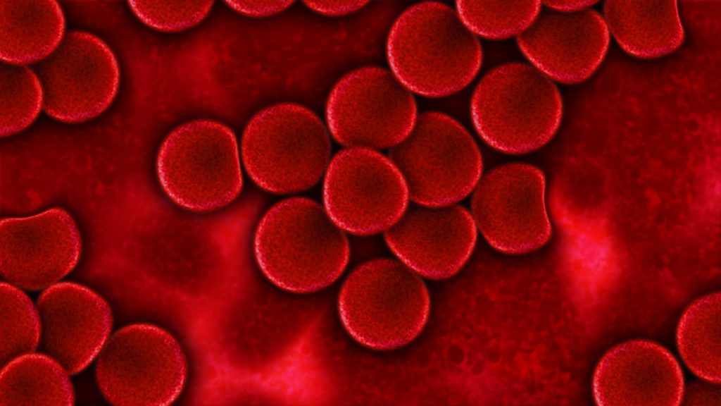 Are there different colours of blood? – How It Works