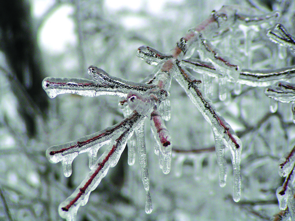 What Are The Different Types Of Frost How It Works what-are-the-different-types-of-frost-how-it-works
