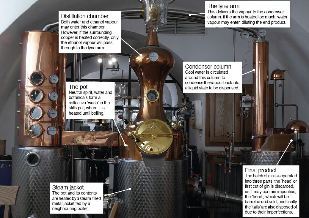Booze & Botanicals How is gin made? How It Works