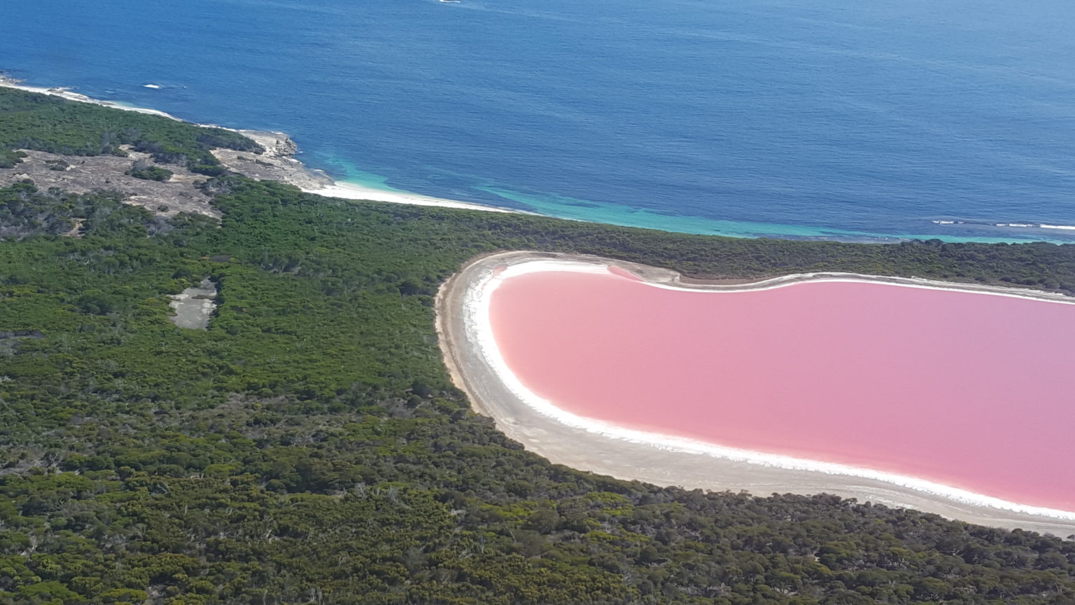 Why is lake hillier pink how it works