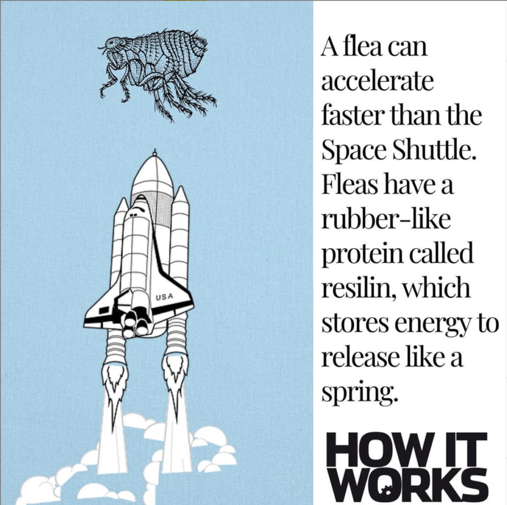 How do padlocks work? How It Works