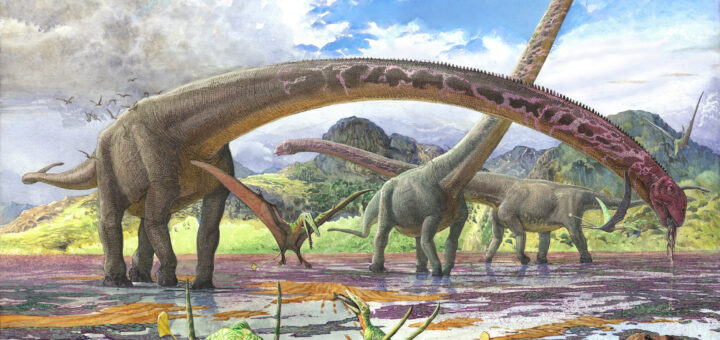 A herd of long-necked Mamenchisaurus sinocanadorum dinosaurs eating vegetation and algae