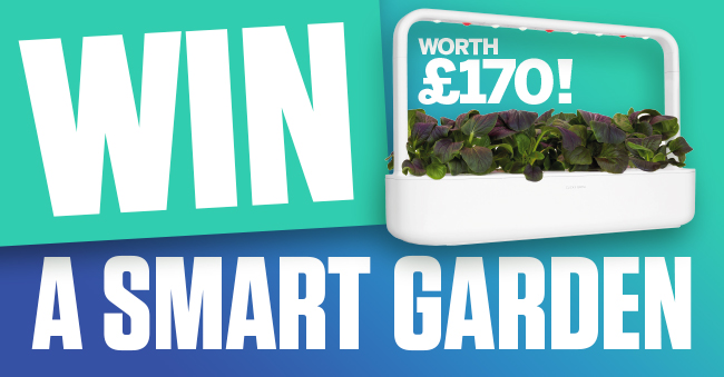 Image: https://www.howitworksdaily.com/wp-content/uploads/2021/07/hiw153_comp.jpg