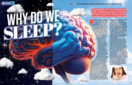 hiw203_sleep