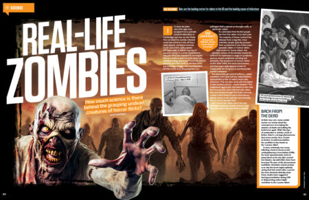 hiw204_zombies