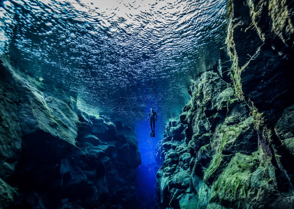 A freediver near the surface of the ocean, taken from below