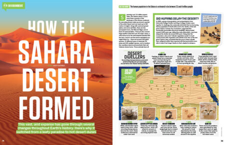 hiw217_sahara