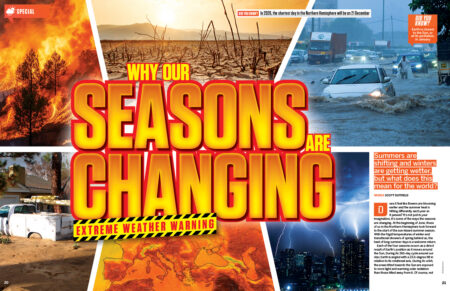 hiw219_seasons