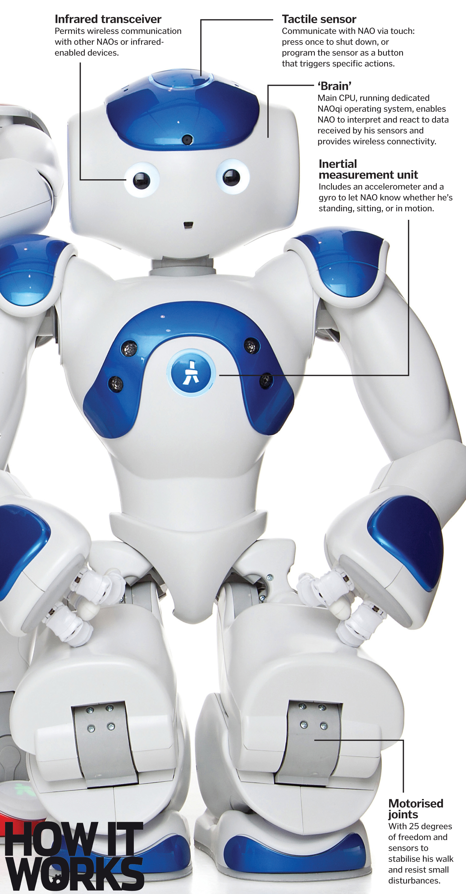 NAO