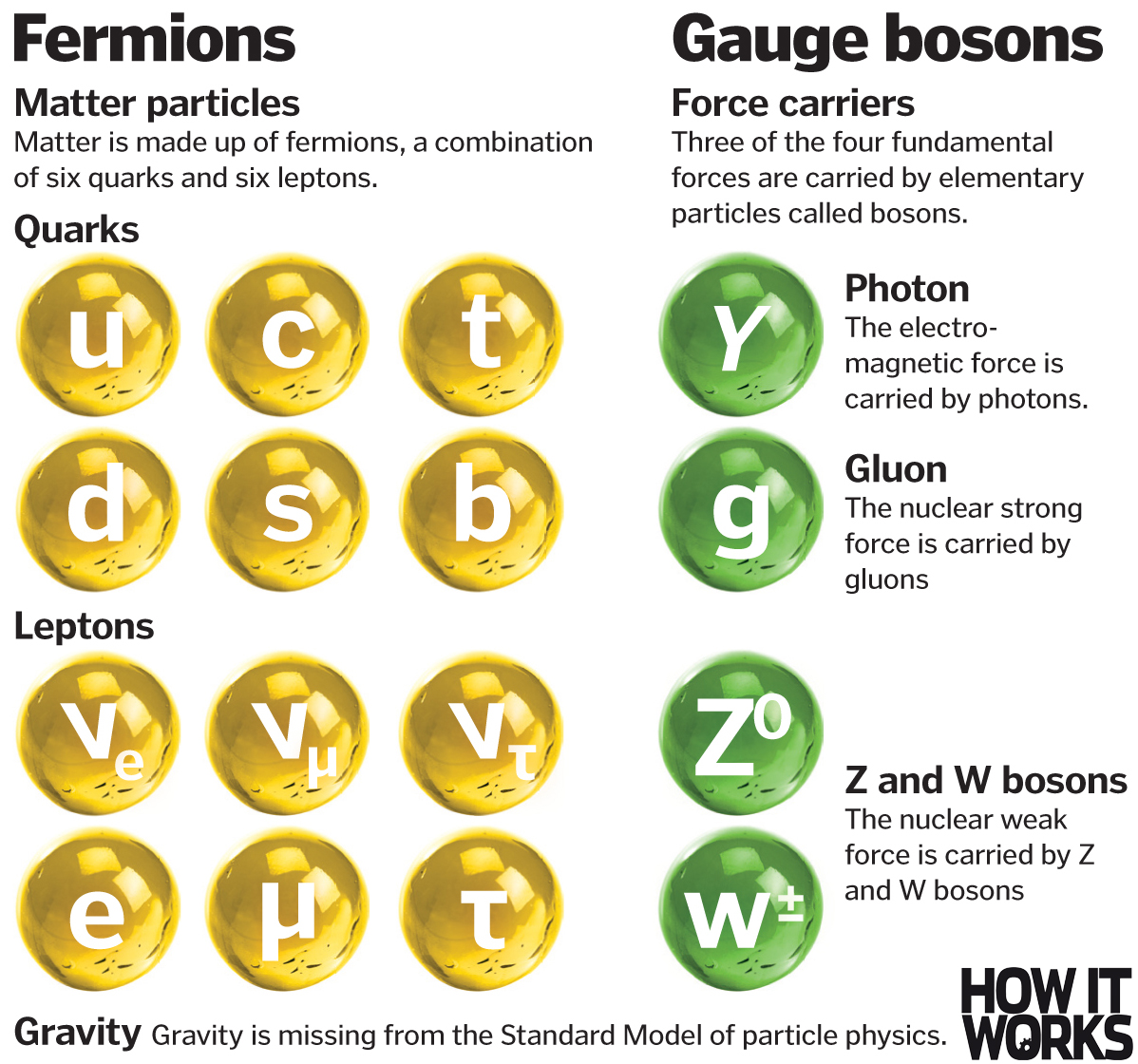 gravity facts